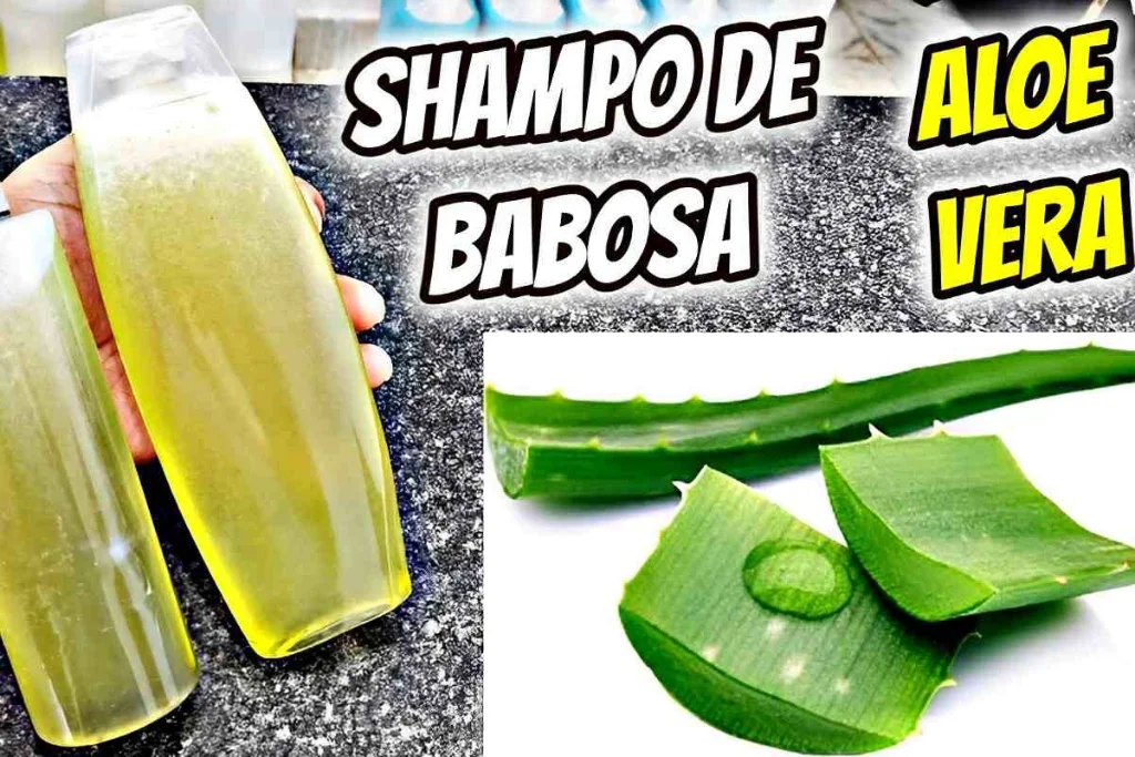 Shampoo de babosa caseiro maravilhoso feito com apenas 2 ingredientes